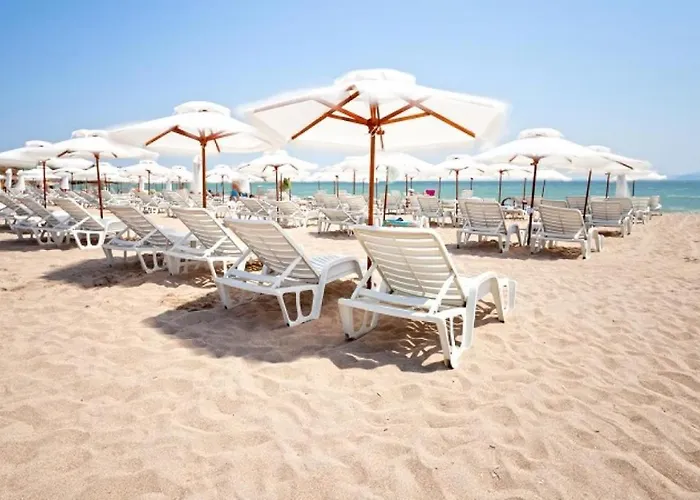 Design In Atlantis Resort&spa, Airport *